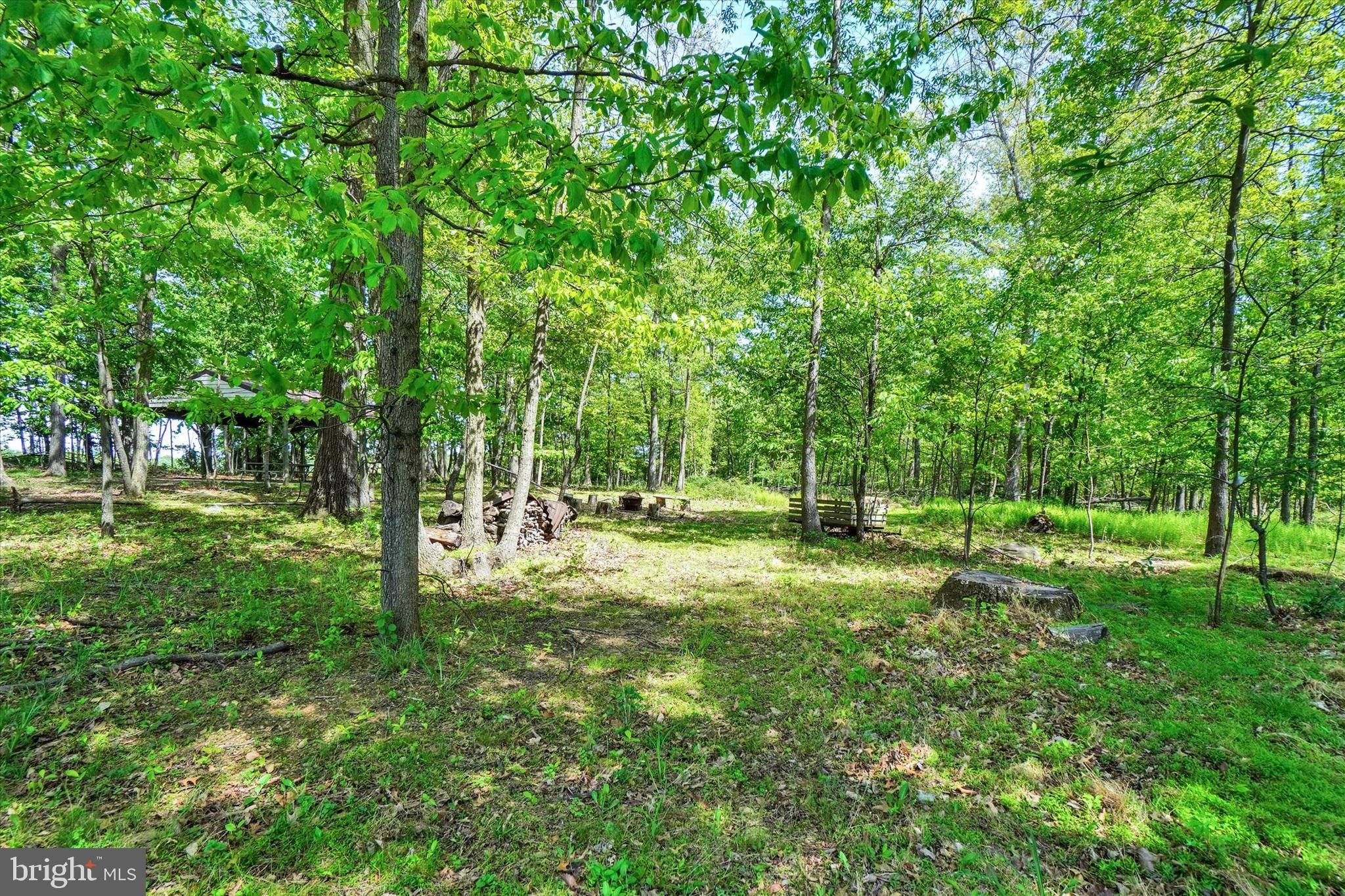 4192 Evergreen Road Felton, PA 17322 - Photo 38 of 46 a view of a yard with a tree