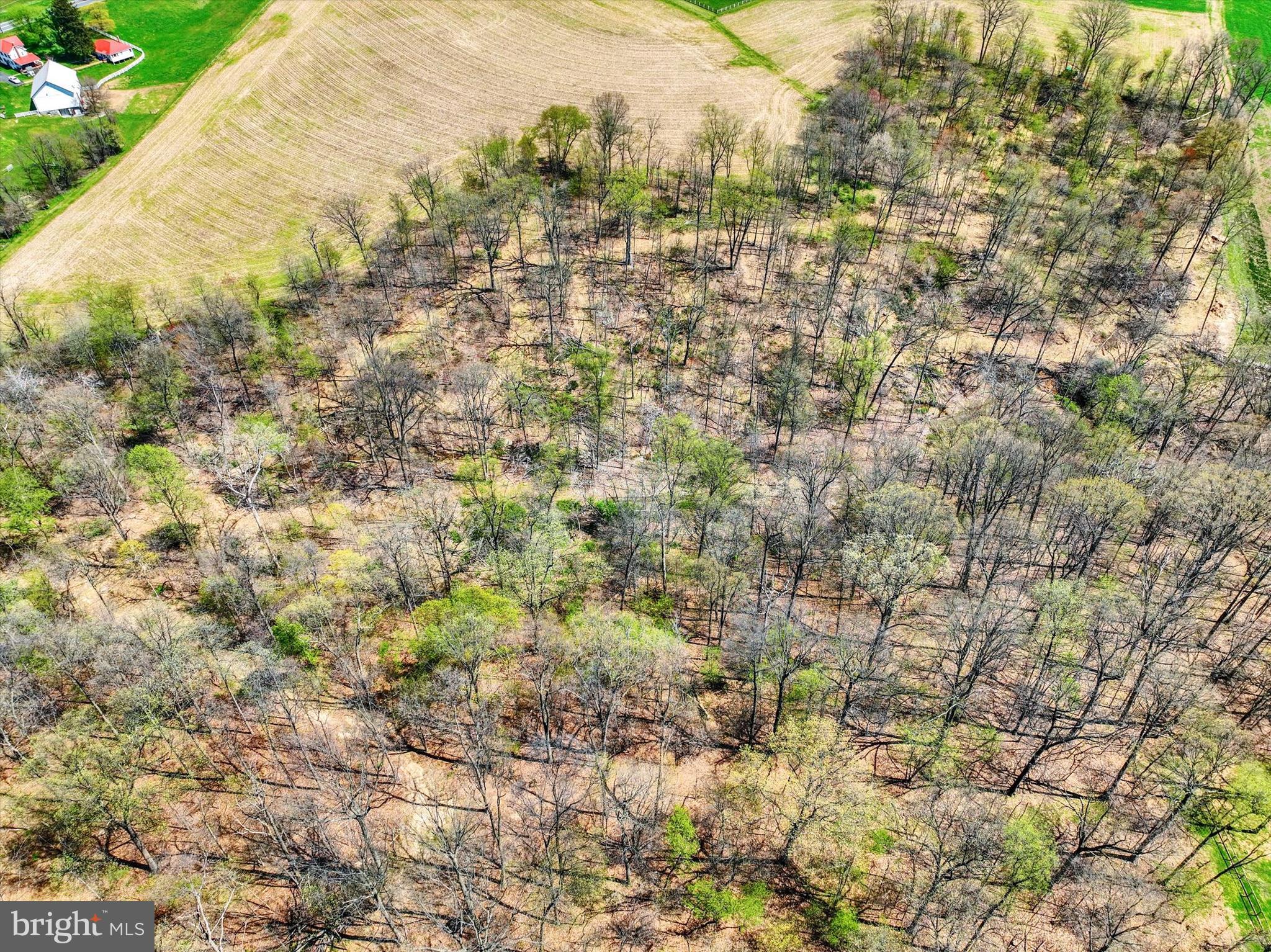 4192 Evergreen Road Felton, PA 17322 - Photo 9 of 46 a view of a yard