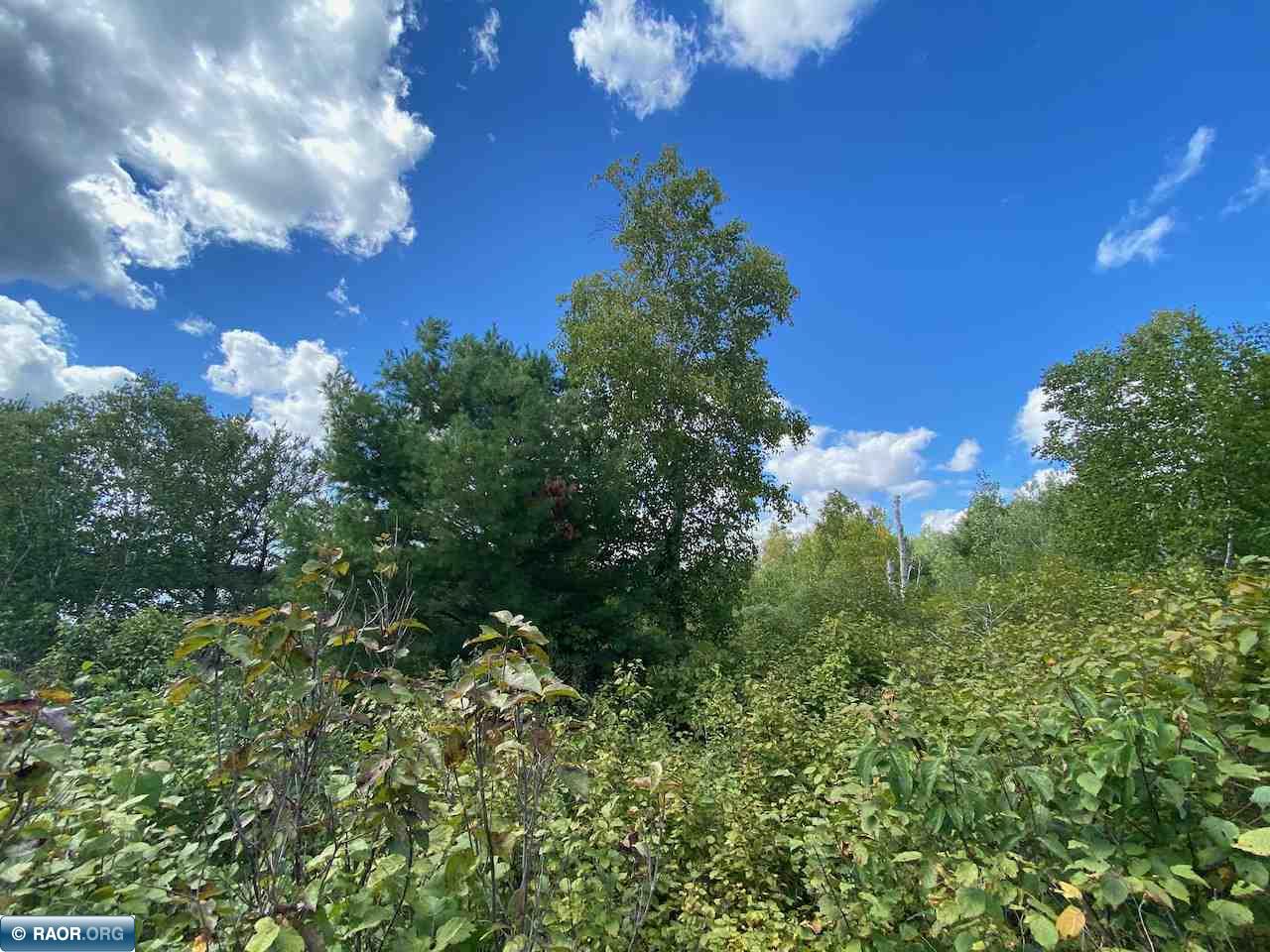 Tbd Lot 9 Wilderness Way Road Orr, MN 55771 - Photo 20 of 27 Gallery Image 20