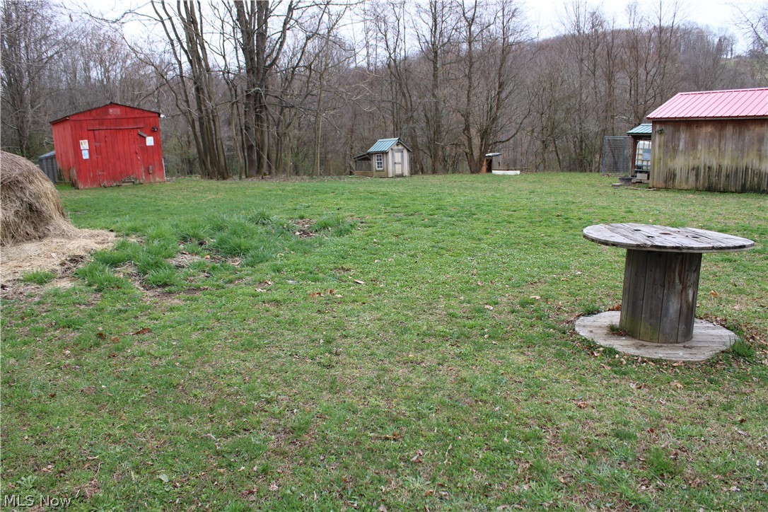 57285 New Castle Road Jerusalem, OH 43747 - Photo 31 of 38 View of yard with a shed
