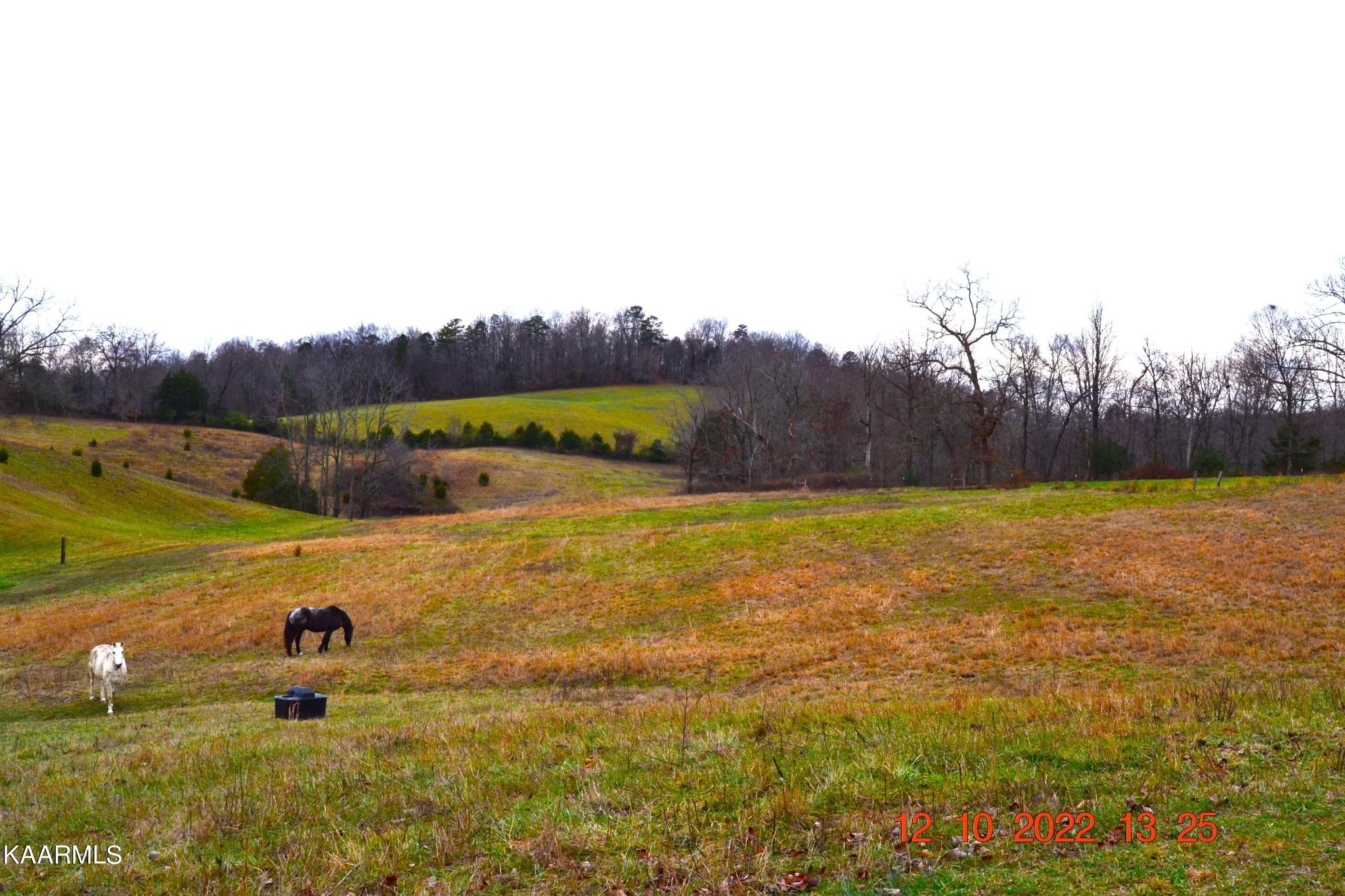4 Cain Road Sharps Chapel, TN 37866 - Photo 11 of 17 Gallery Image 11