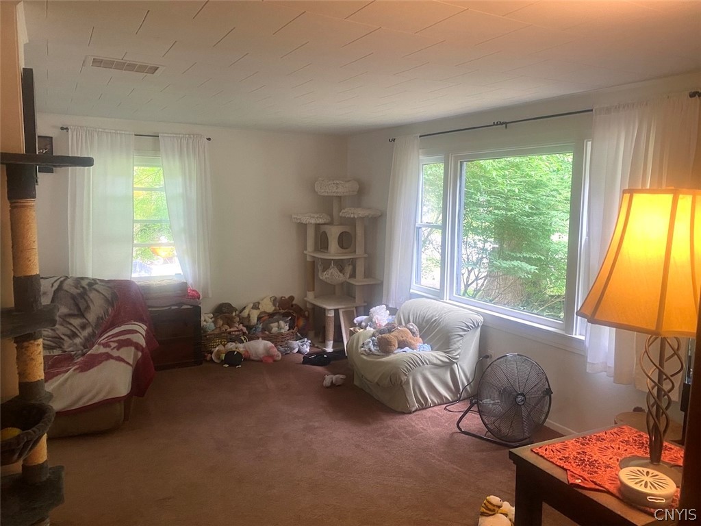5295 Snowball Hollow Road Scio, NY 14880 - Photo 9 of 50