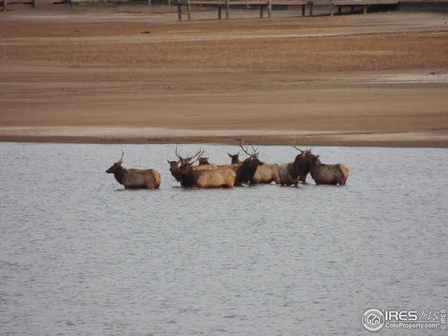 $1,030,000 | 5360 Lighthouse Point Court, Loveland, CO 80537