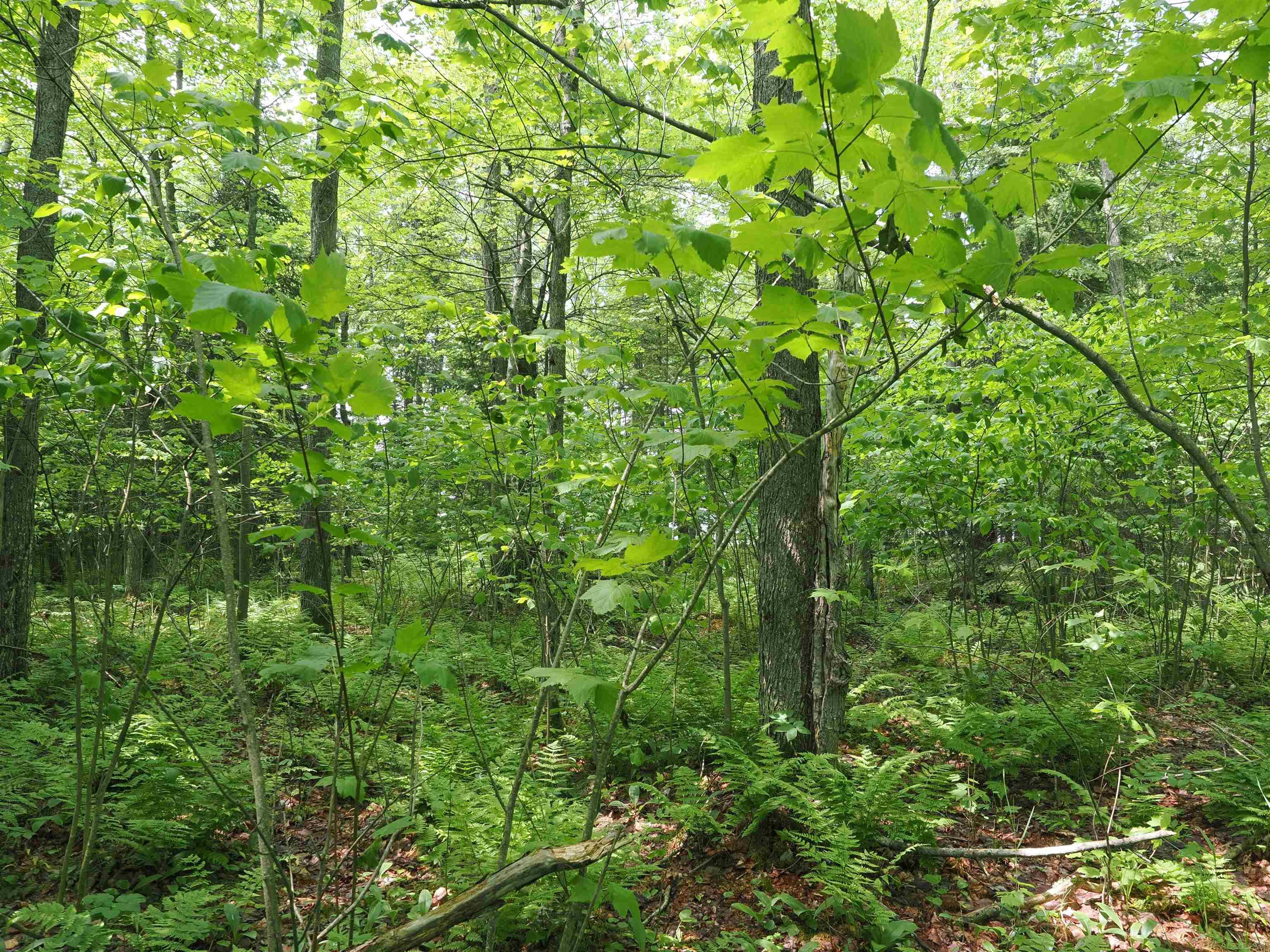 5 West 5 Mile Road Sault Ste. Marie, MI 49783 - Photo 20 of 30