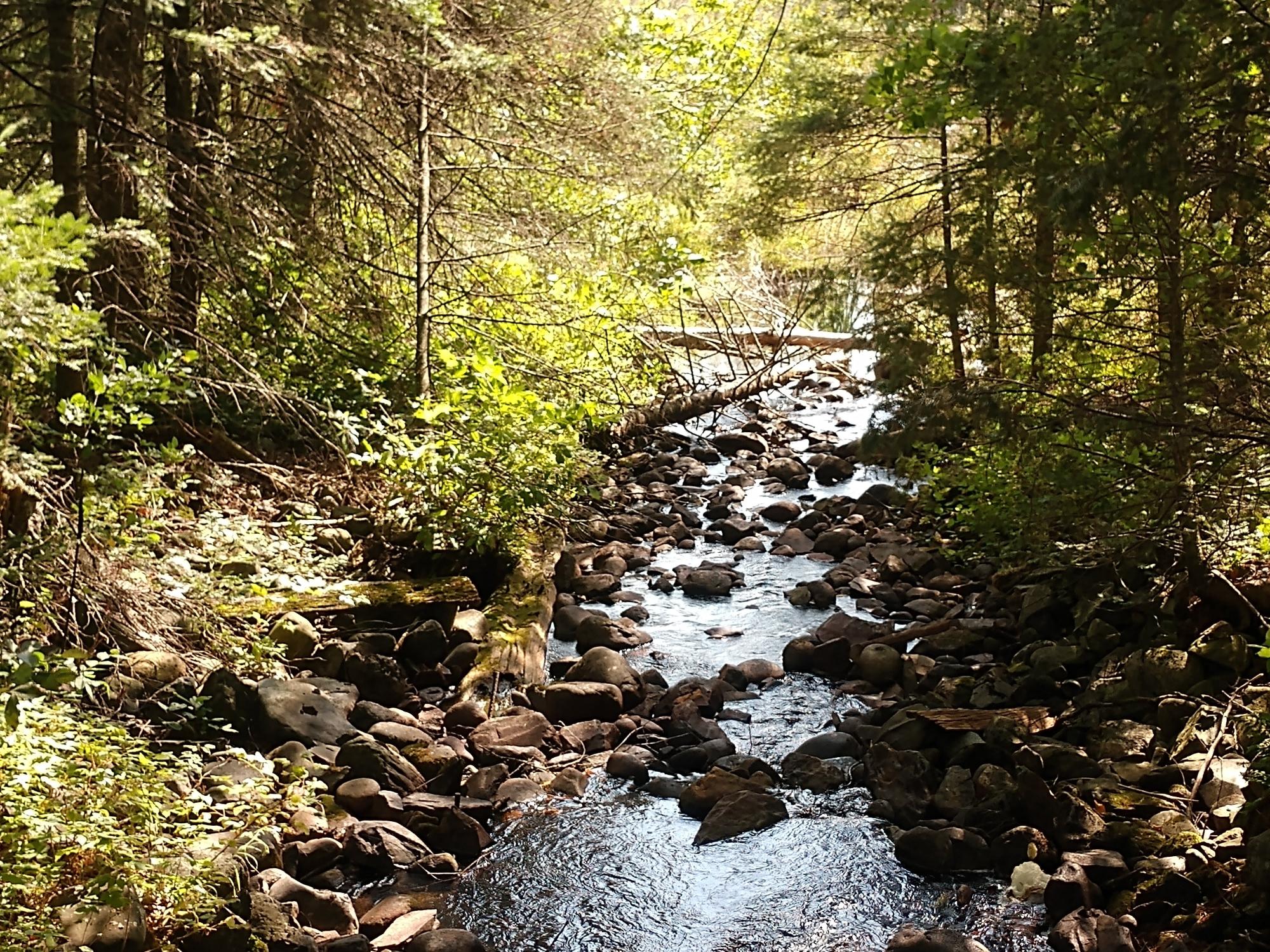 Off Off Forest Road Trout Creek, MI 49967 - Photo 38 of 50 Gallery Image 38