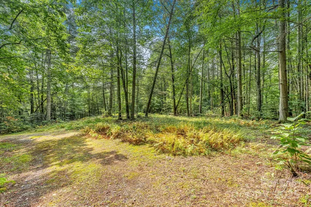 $260,000 | 28 Caddis Court, Marshall, NC 28753