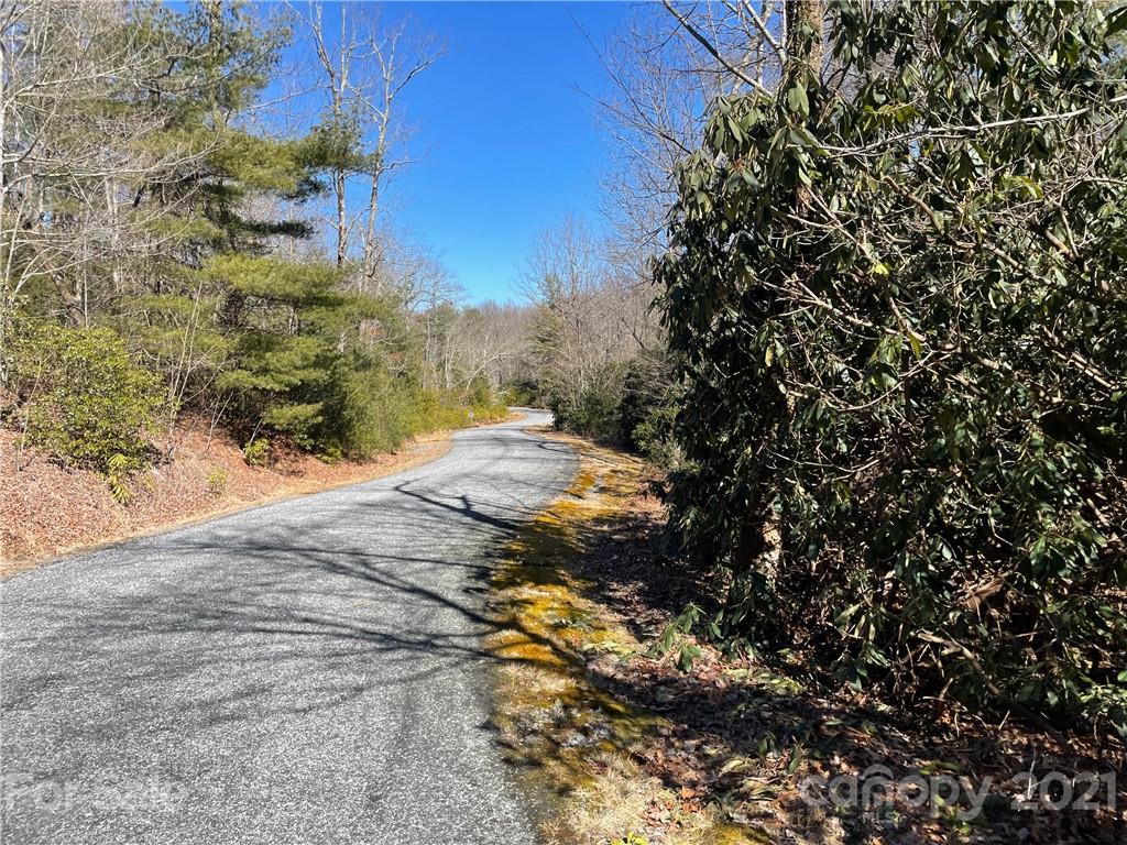 Tbd Walnut Ridge Road, Unit 269 Brevard, NC 28712 - Photo 8 of 21 Gallery Image 8
