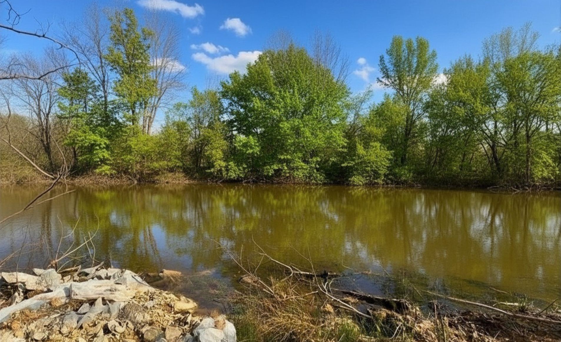 1672 Rabe Coats Road Westmoreland, TN 37186 - Photo 5 of 29