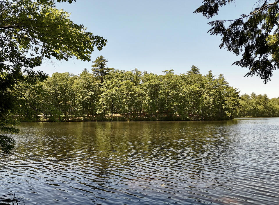 121 Ridgeway Circle Waterboro, ME 04061 - Photo 20 of 22 28465