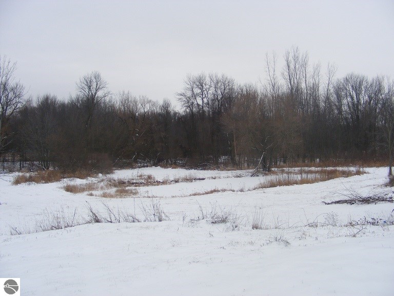 10790 East Boyer Road Carson City, MI 48811 - Photo 27 of 27 1777389-26.JPG