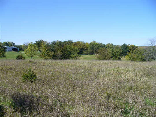 7744 West Judson Road Polo, IL 61064 - Photo 8 of 11 a view of a field with trees in background