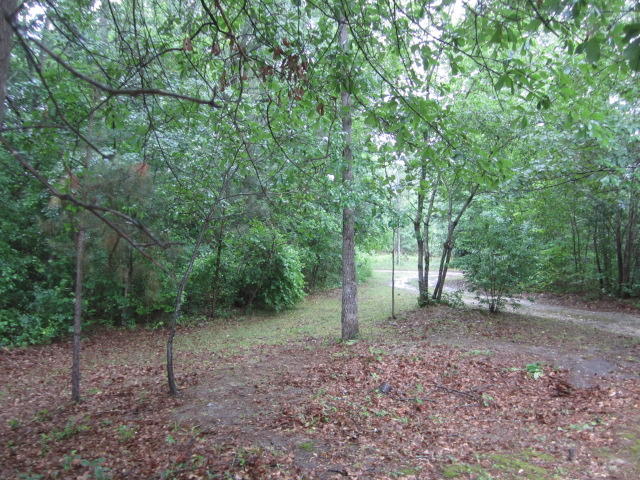 473 Lea Road West End, NC 27376 - Photo 11 of 11 IMG_0869