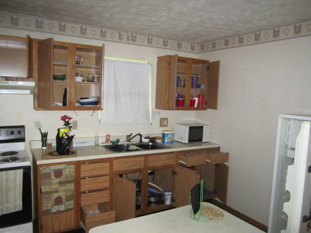 473 Lea Road West End, NC 27376 - Photo 3 of 11 IMG_0851