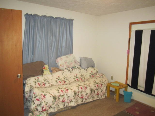 473 Lea Road West End, NC 27376 - Photo 6 of 11 IMG_0861