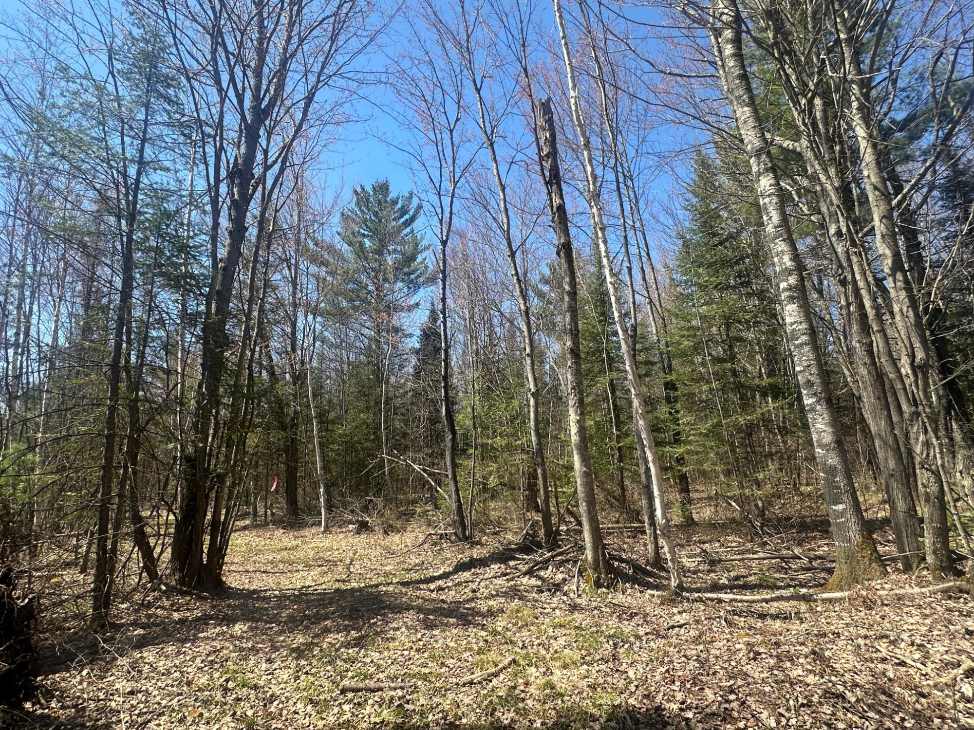 Acres On Watersmeet Lake Road, Unit 20 / Eagle River, WI 54521 - Photo 5 of 31 Gallery Image 5