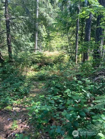 a view of outdoor space and green space