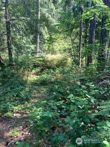 a view of outdoor space and green space