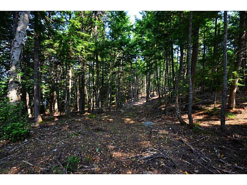 Off Burlington Beach Road Burlington, ME 04417 - Photo 29 of 34 Land/Lot.