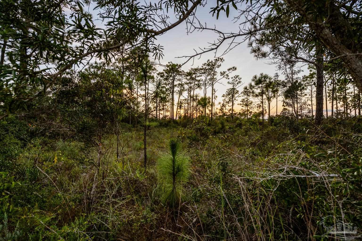 5314 North Shore Road Pensacola, FL 32507 - Photo 13 of 23