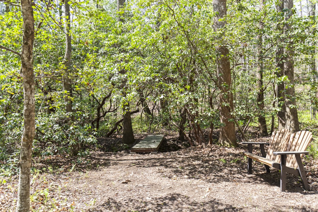 144 Lecroy Road Walhalla, SC 29691 - Photo 39 of 49