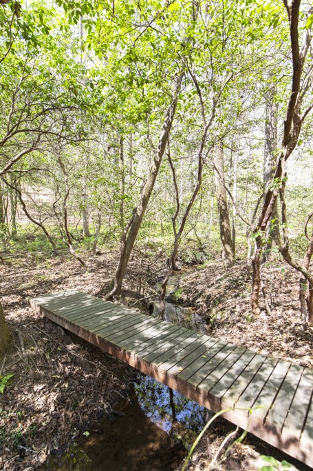 144 Lecroy Road Walhalla, SC 29691 - Photo 40 of 49