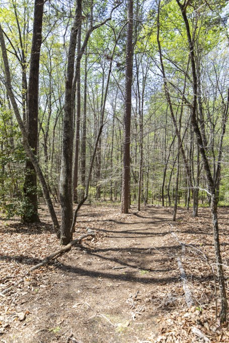 144 Lecroy Road Walhalla, SC 29691 - Photo 41 of 49