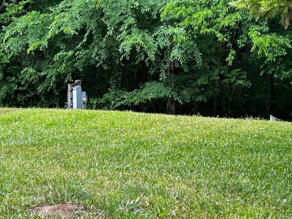 1770 Ekom Beach Road Laurens, SC 29360 - Photo 13 of 14 Elec Meter For Vacant Lot
