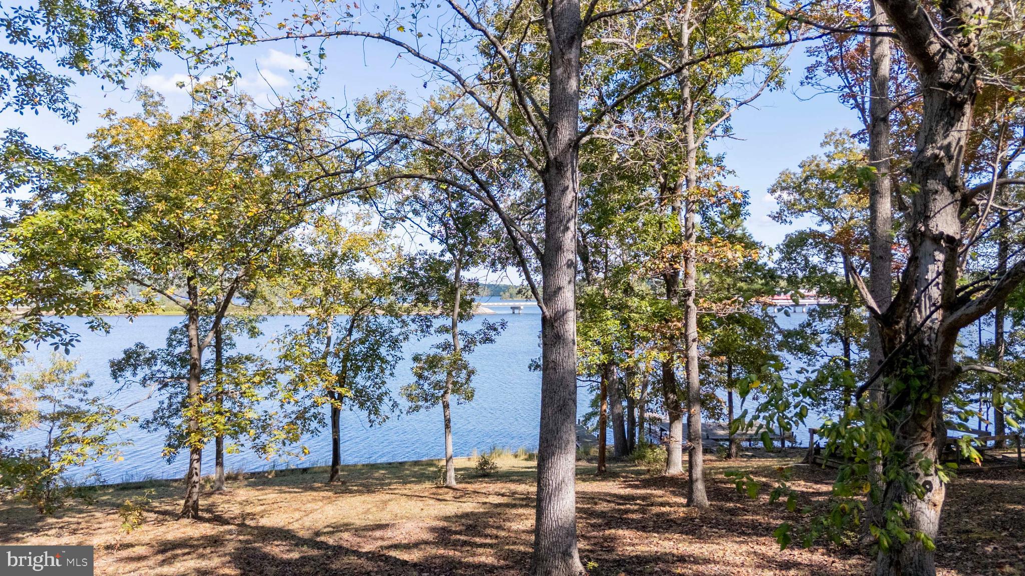 1571 Mitchell Point Road Mineral, VA 23117 - Photo 5 of 47 Woods and lake