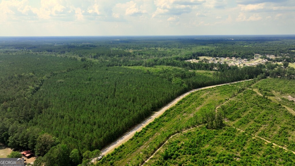 0 Highway 204 & Carlos Cowart Road Pembroke, GA 31321 - Photo 7 of 47