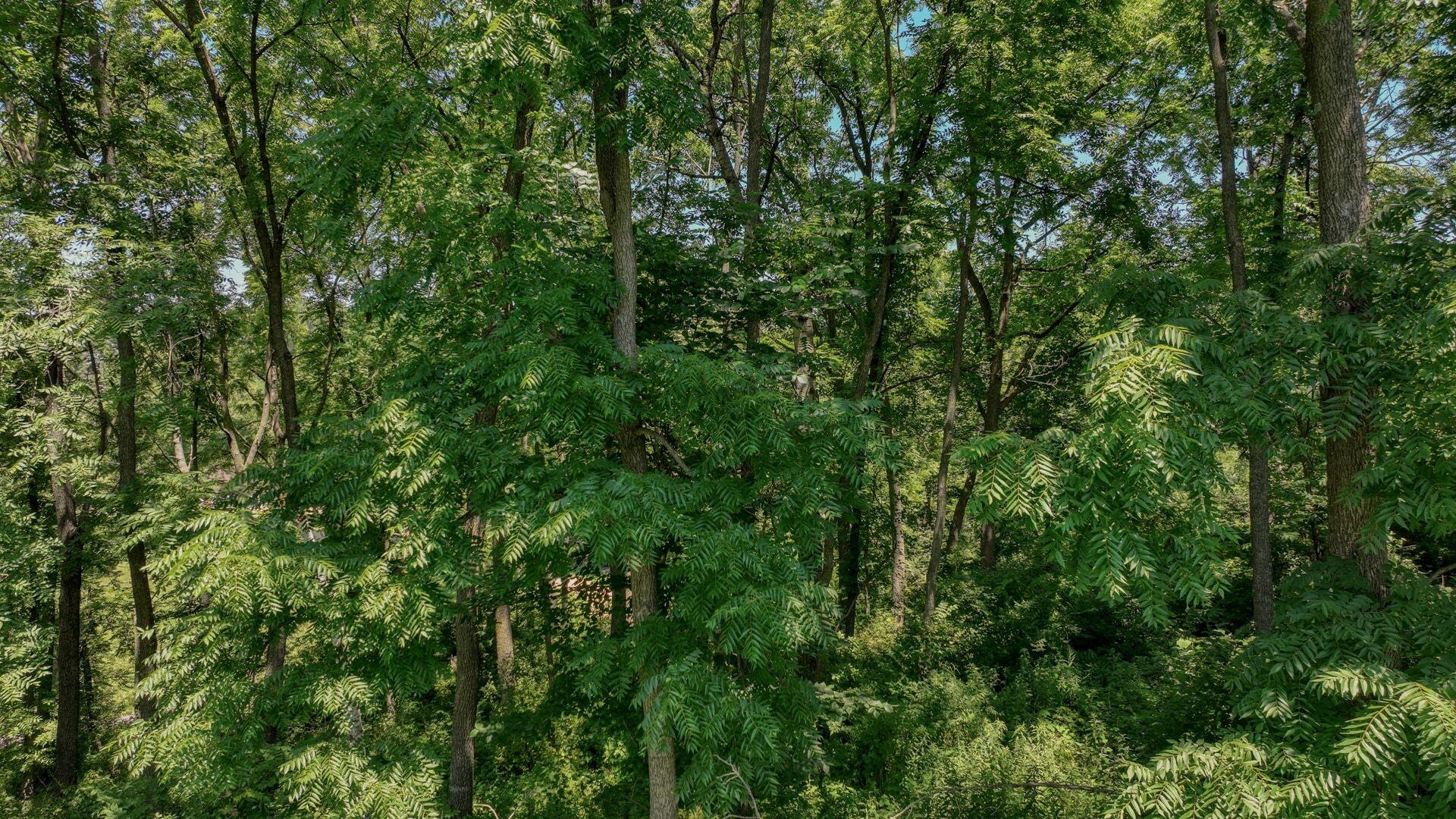 0 Garves Coulee Road Bangor, WI 54614 - Photo 12 of 21 013_dji_0870_14_172