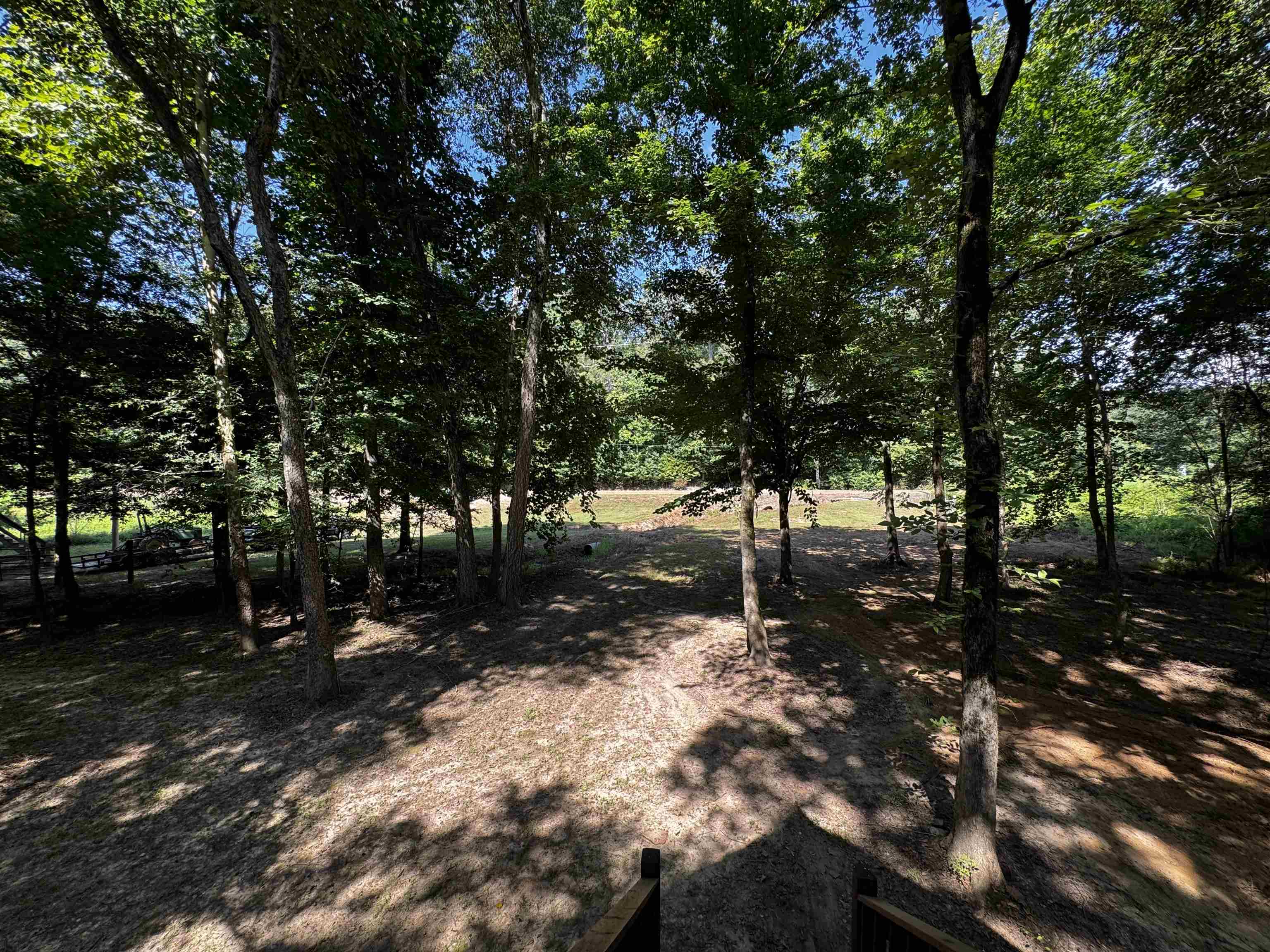 2895 Sain Road Bolivar, TN 38008 - Photo 13 of 36 a view of backyard with green space