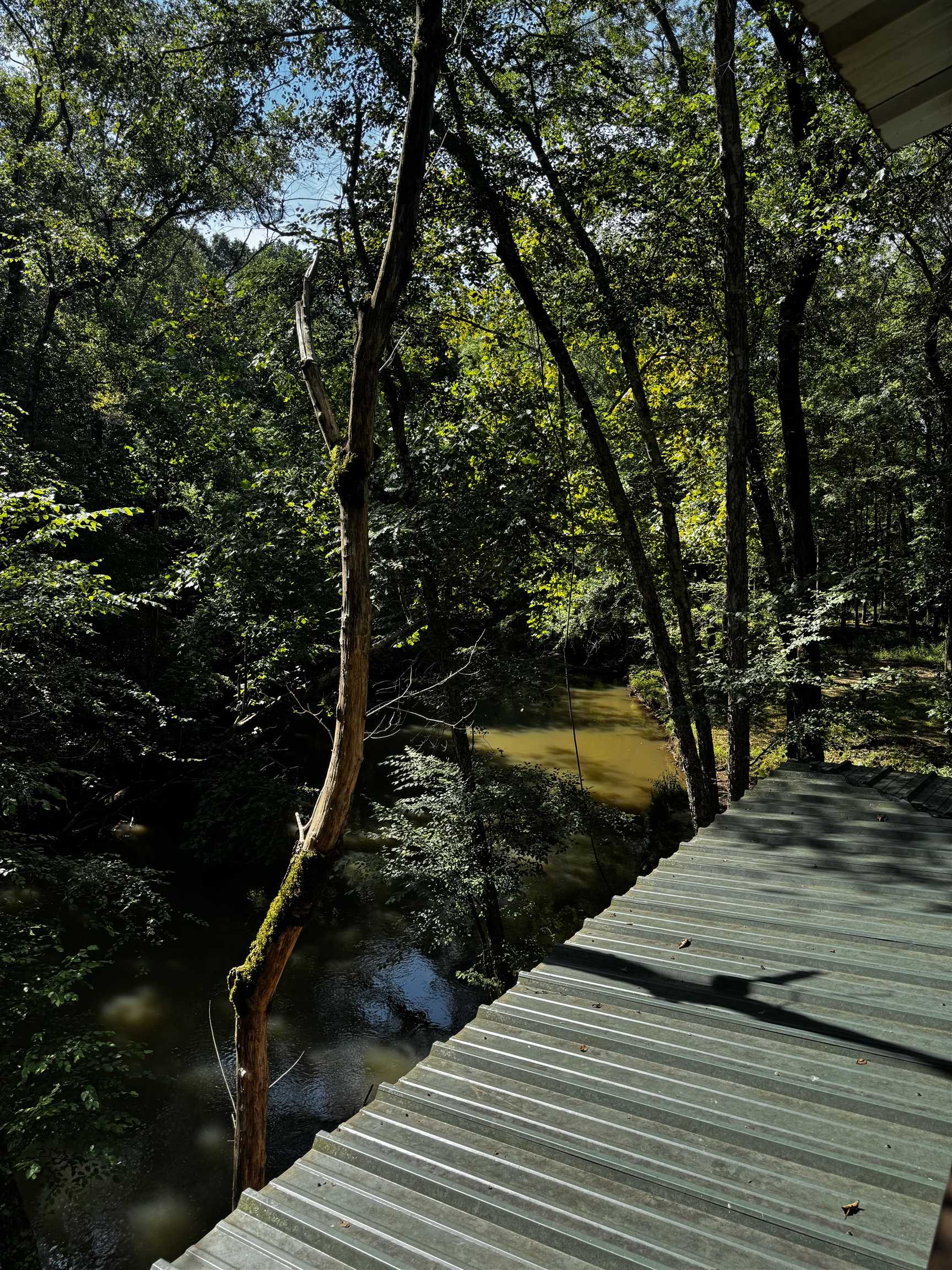 2895 Sain Road Bolivar, TN 38008 - Photo 27 of 36 a view of outdoor space and yard