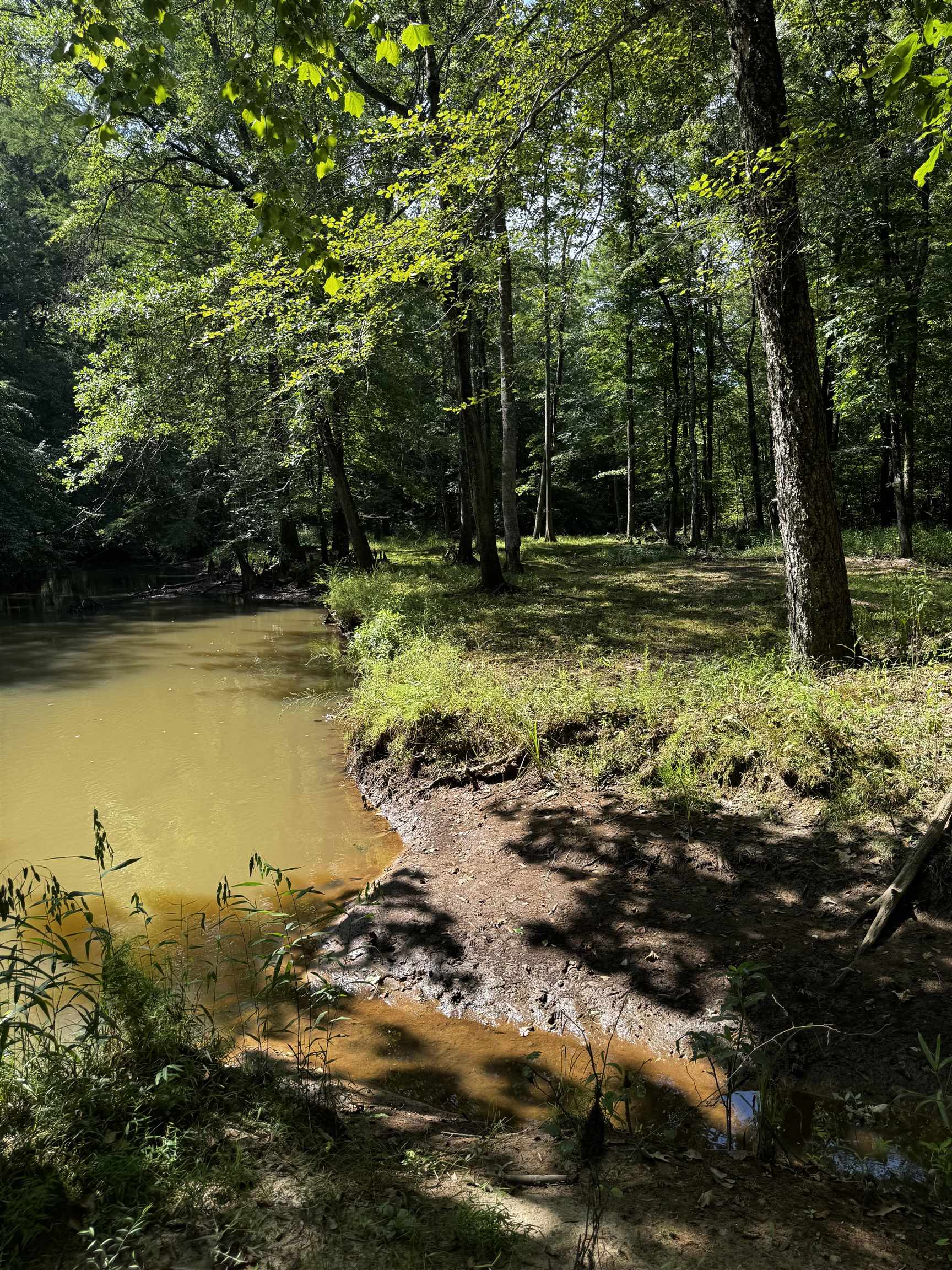 2895 Sain Road Bolivar, TN 38008 - Photo 33 of 36 a view of a lake with a tree