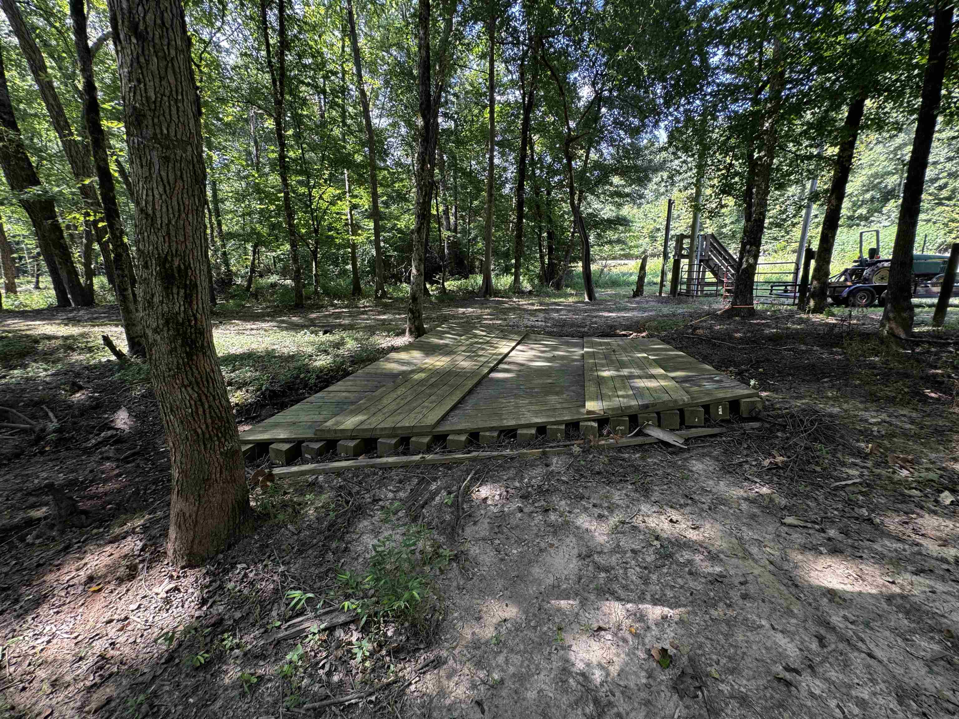 2895 Sain Road Bolivar, TN 38008 - Photo 6 of 36 a view of backyard space