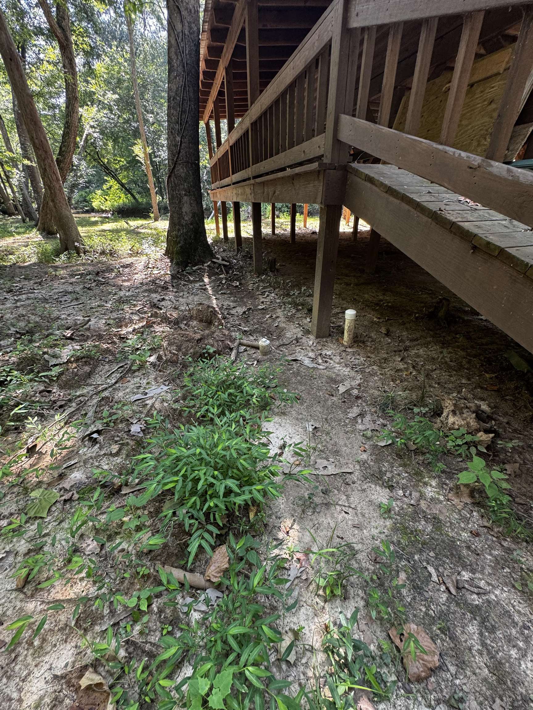 2895 Sain Road Bolivar, TN 38008 - Photo 7 of 36 a view of a house with a yard