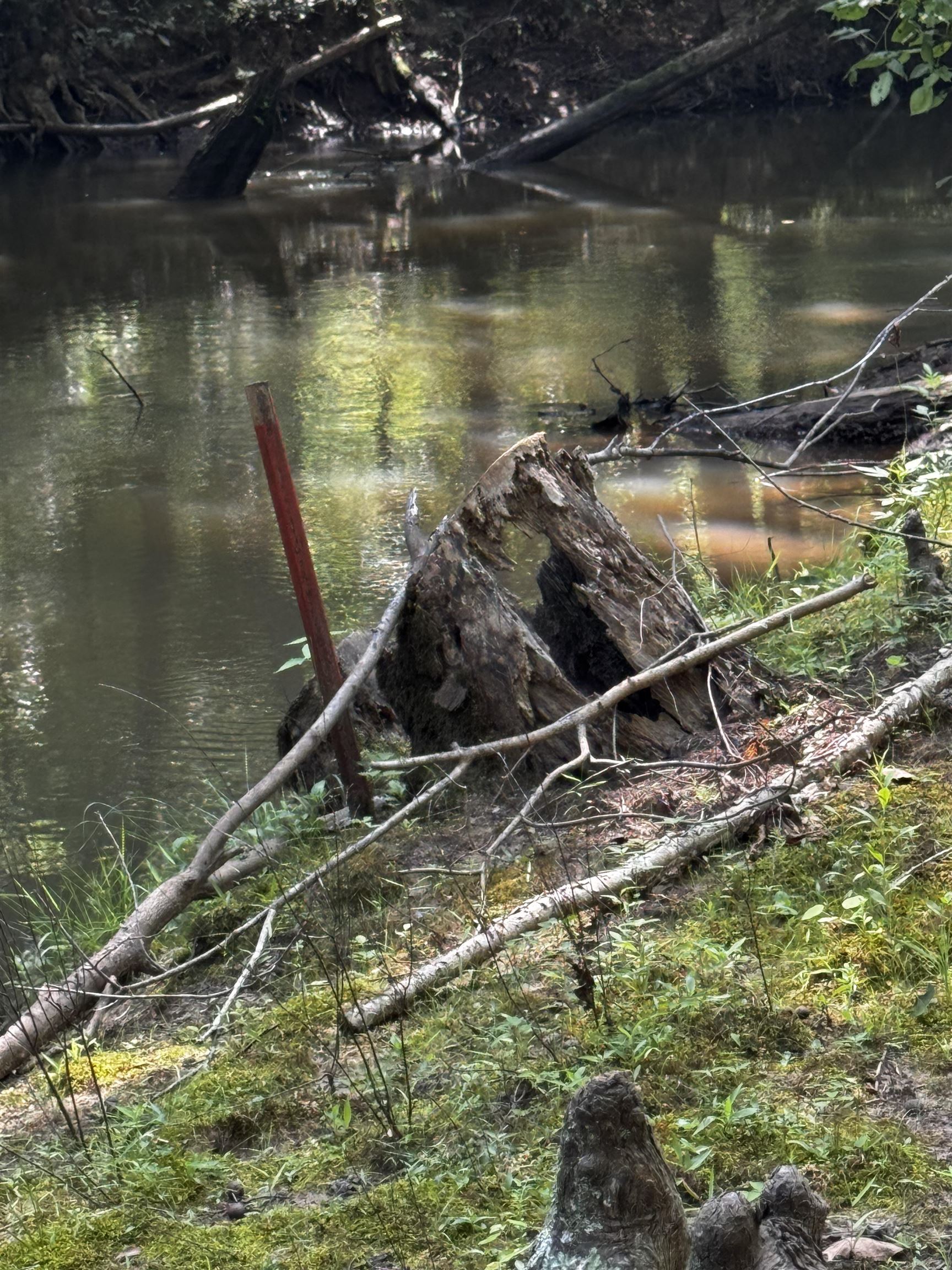2895 Sain Road Bolivar, TN 38008 - Photo 10 of 36 a backyard of a house with a lake view