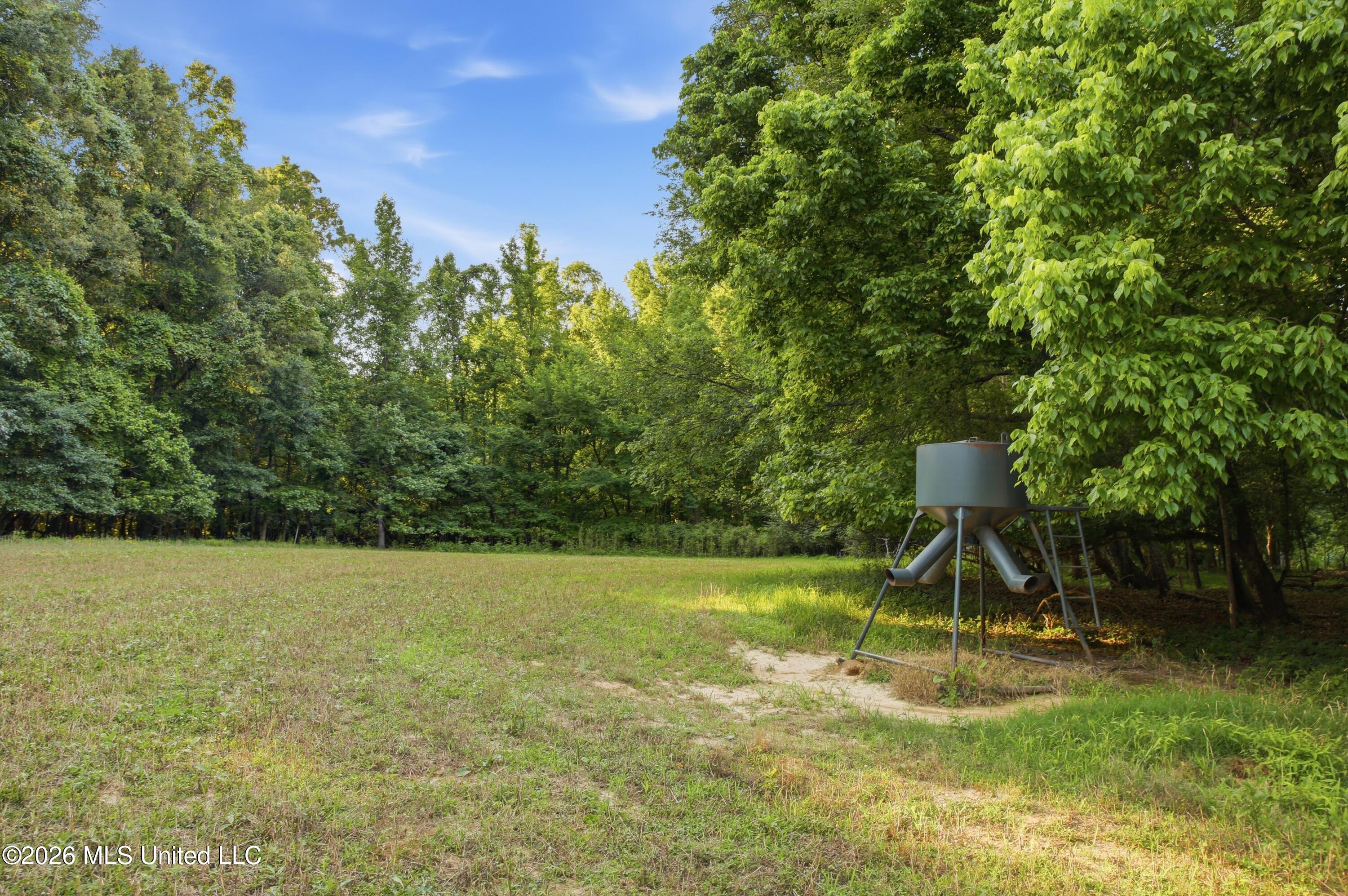 425 Rose Hill Road Bentonia, MS 39040 - Photo 60 of 150 A6894841-6DD1-4261-A3C0-2F9FF9395A61