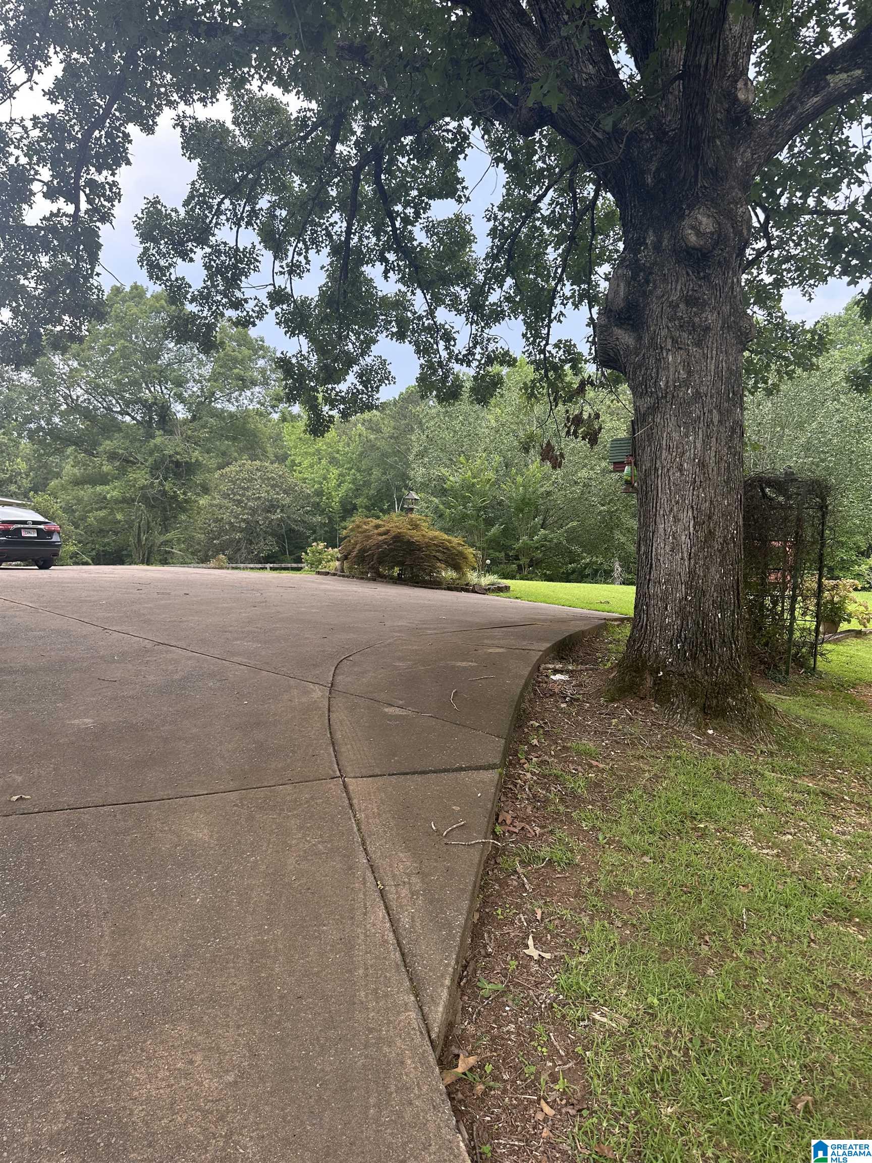 787 New County Line Road Sylacauga, AL 35151 - Photo 9 of 38