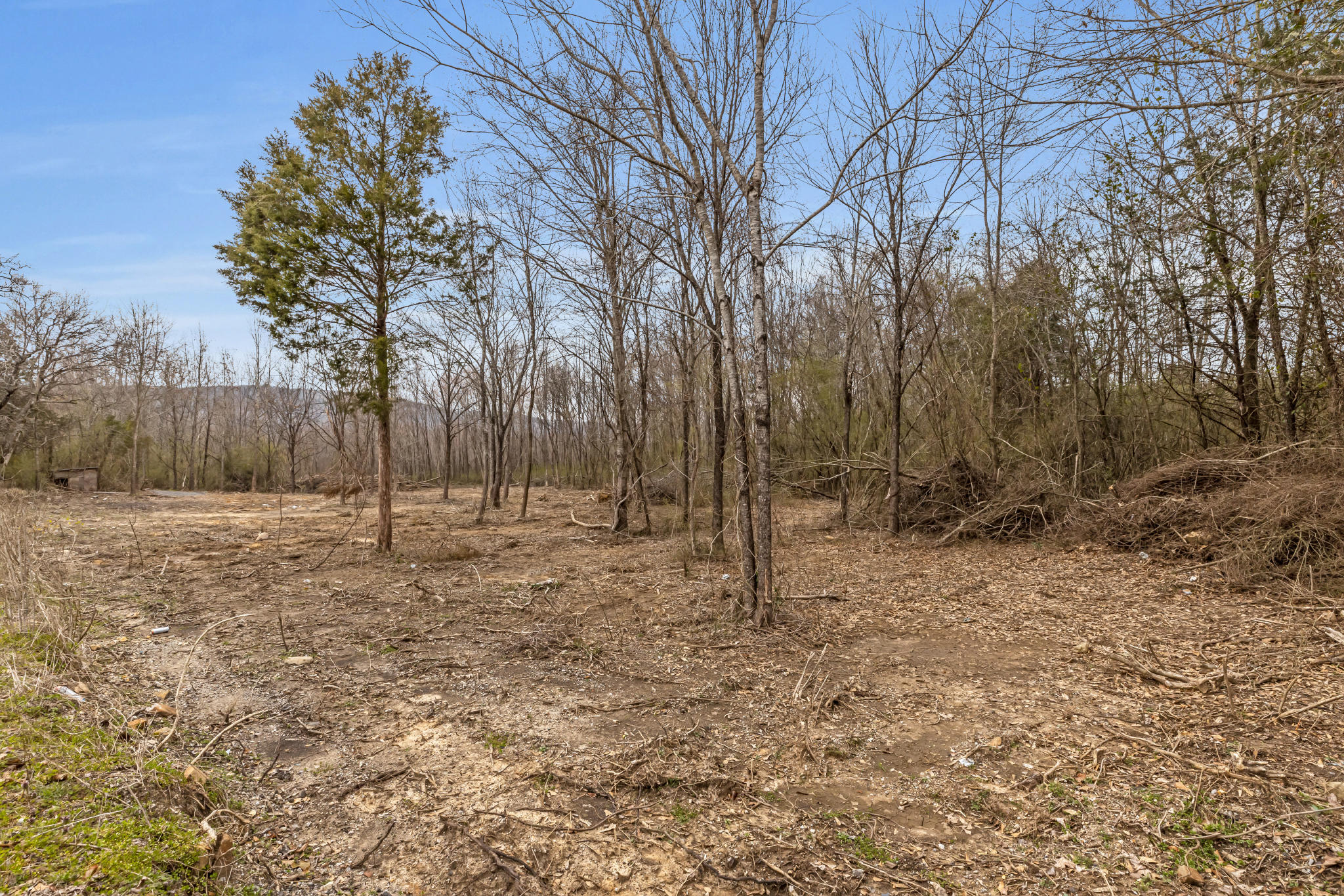 1776 West Valley Road Whitwell, TN 37397 - Photo 15 of 16 4T1A2293