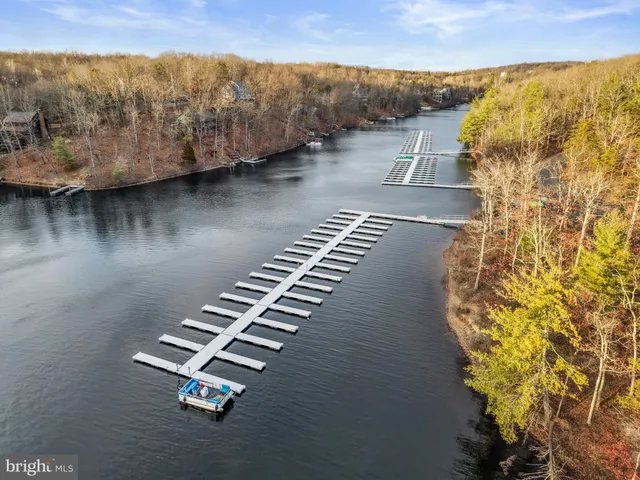 a view of a tennis ground with large trees