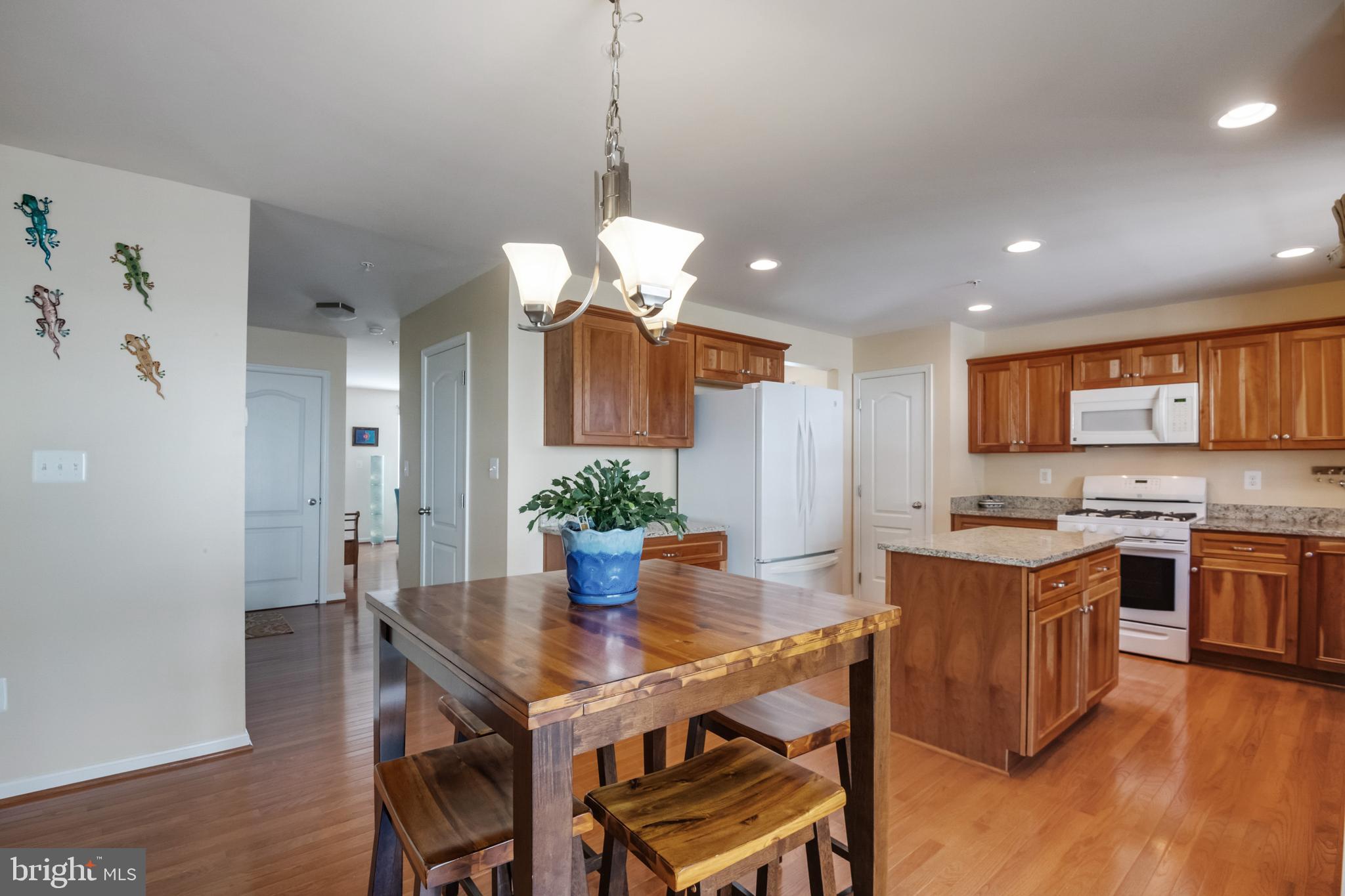 6016 Hanover Road Elkridge, MD 21075 - Photo 12 of 45 Kitchen - Recessed Lights & Modern Light Fixture