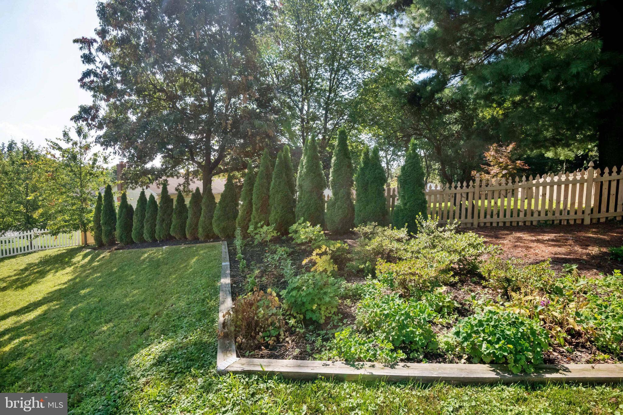 6016 Hanover Road Elkridge, MD 21075 - Photo 43 of 45 Yard - Lush Landscaping