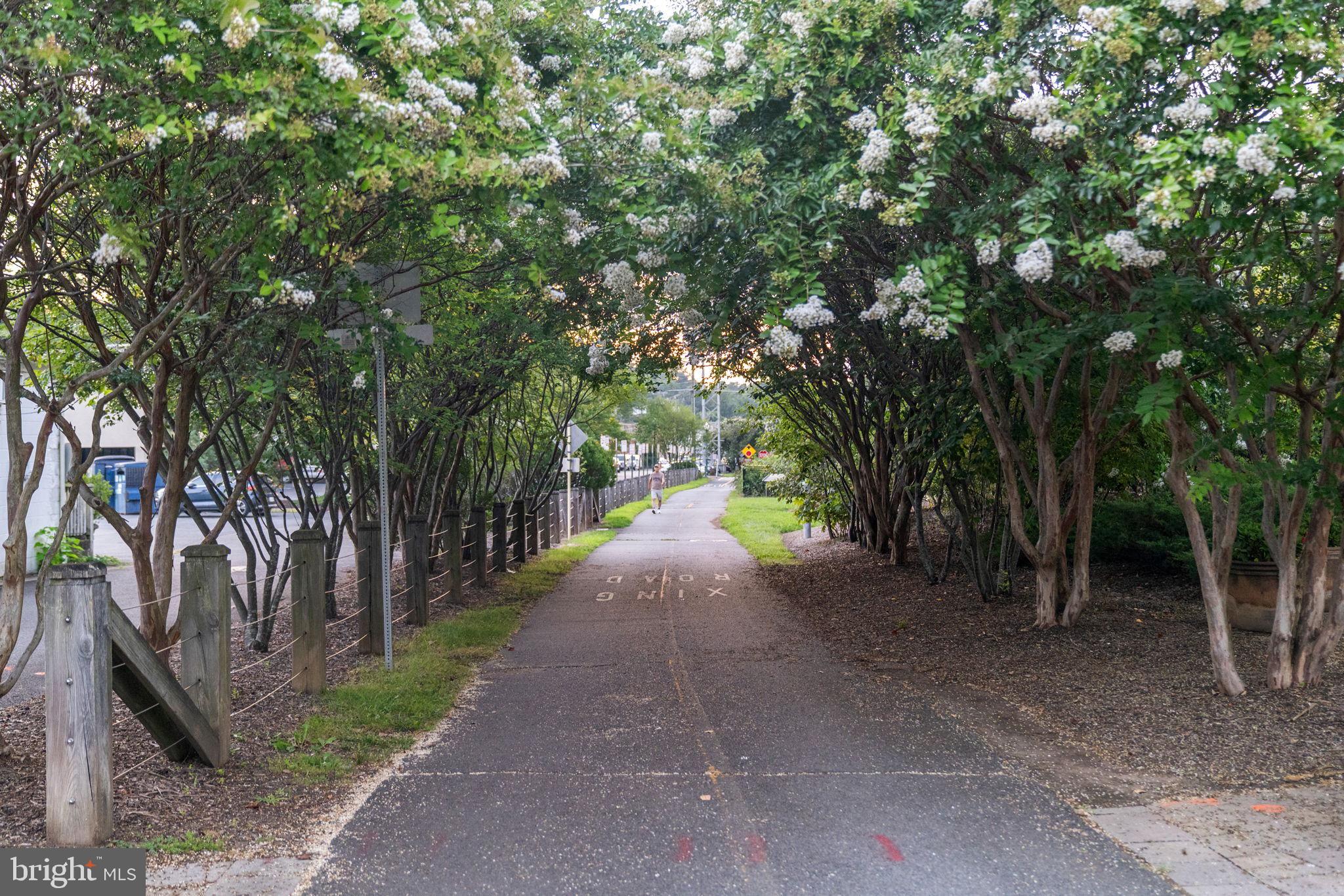 106 Tapawingo Road Southwest Vienna, VA 22180 - Photo 78 of 91