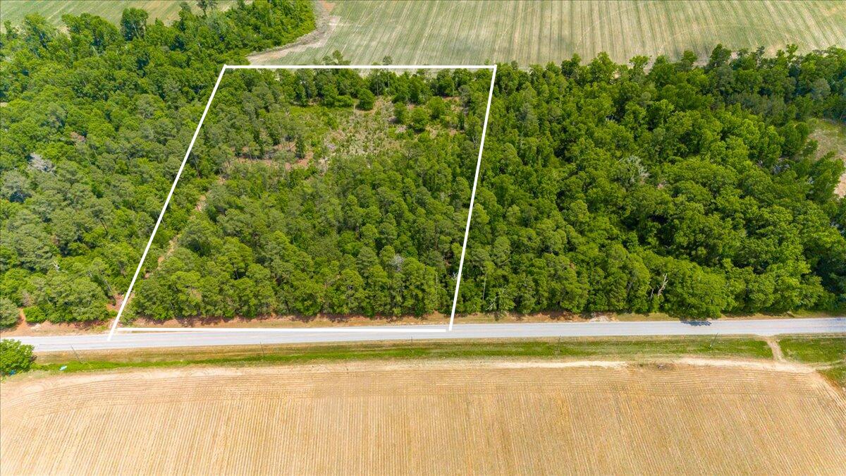 0 Herndon Road Waynesboro, GA 30830 - Photo 1 of 12 Untitled design