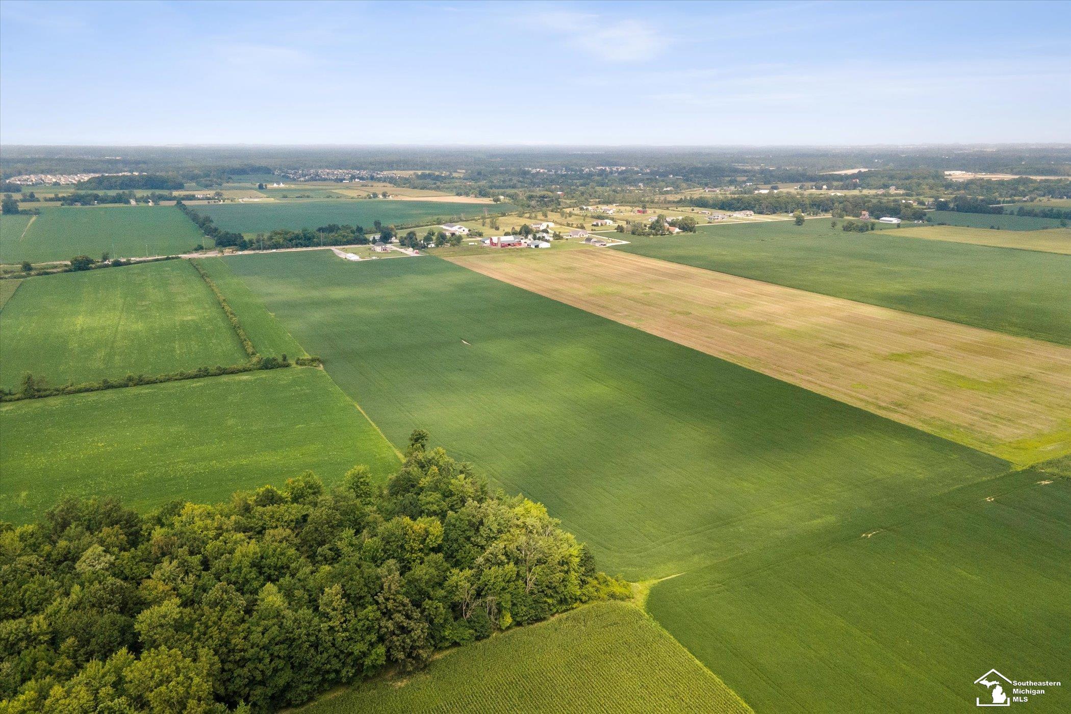 0 East Newburg Road Carleton, MI 48117 - Photo 8 of 13 50119681-7.JPG