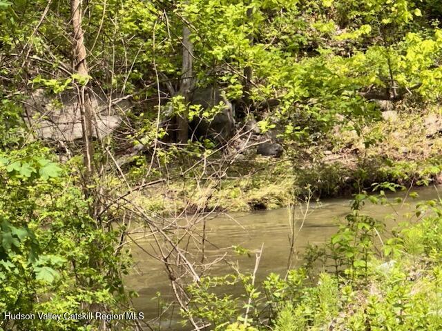 818 Cauterskill Road Catskill, NY 12414 - Photo 12 of 17 a view of lake