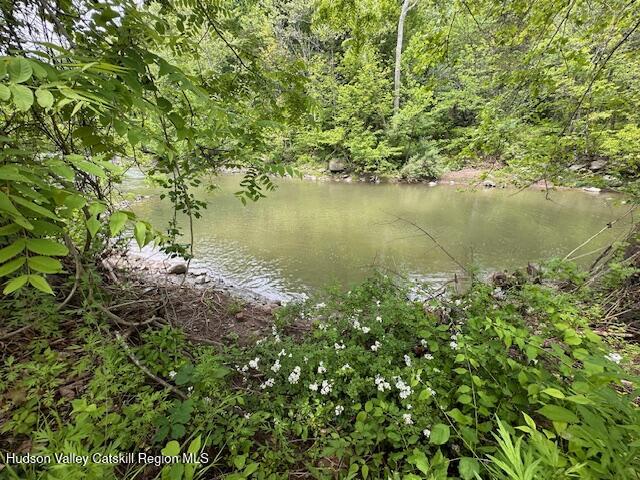 818 Cauterskill Road Catskill, NY 12414 - Photo 17 of 17 a view of a lake with a tree