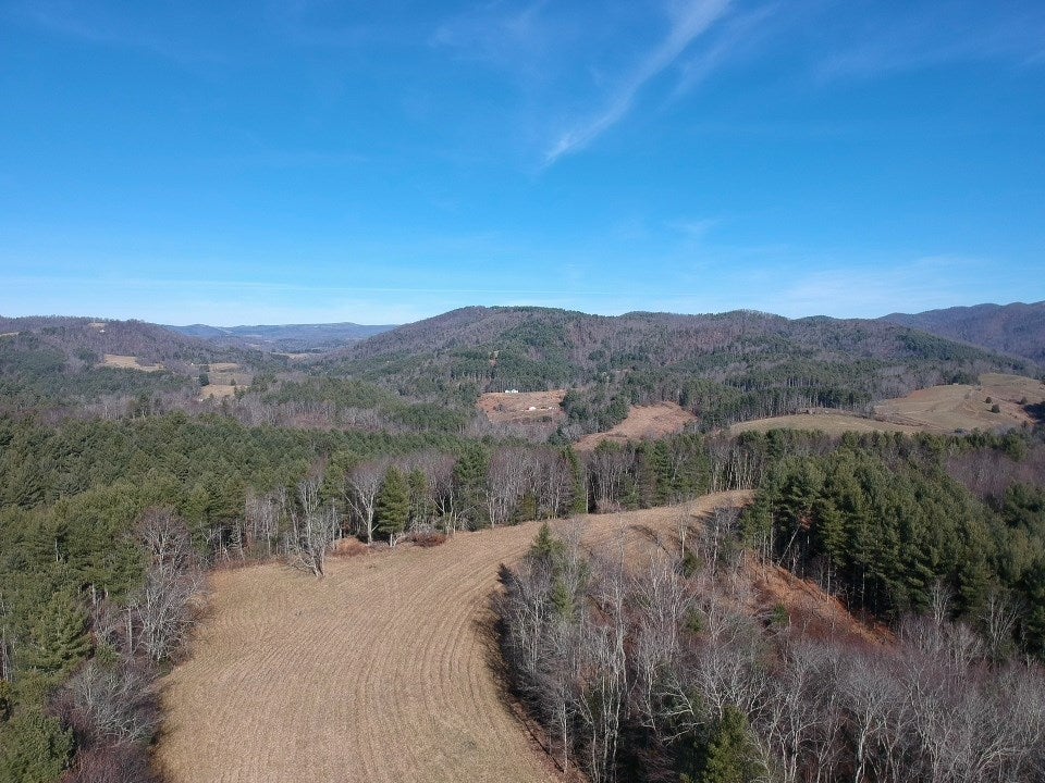Tbd Fox Ridge Road Mouth Of Wilson, VA 24363 - Photo 12 of 17 Gallery Image 12