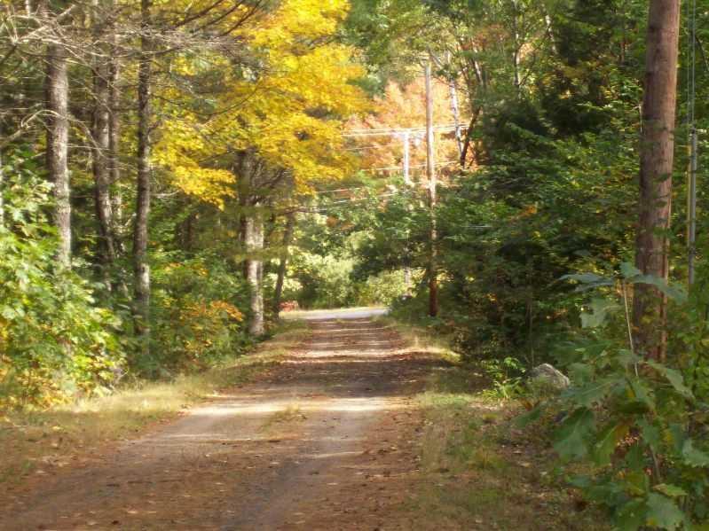 303 Bar Mills Road Hollis Center, ME 04042 - Photo 26 of 28 Other. Driveway
