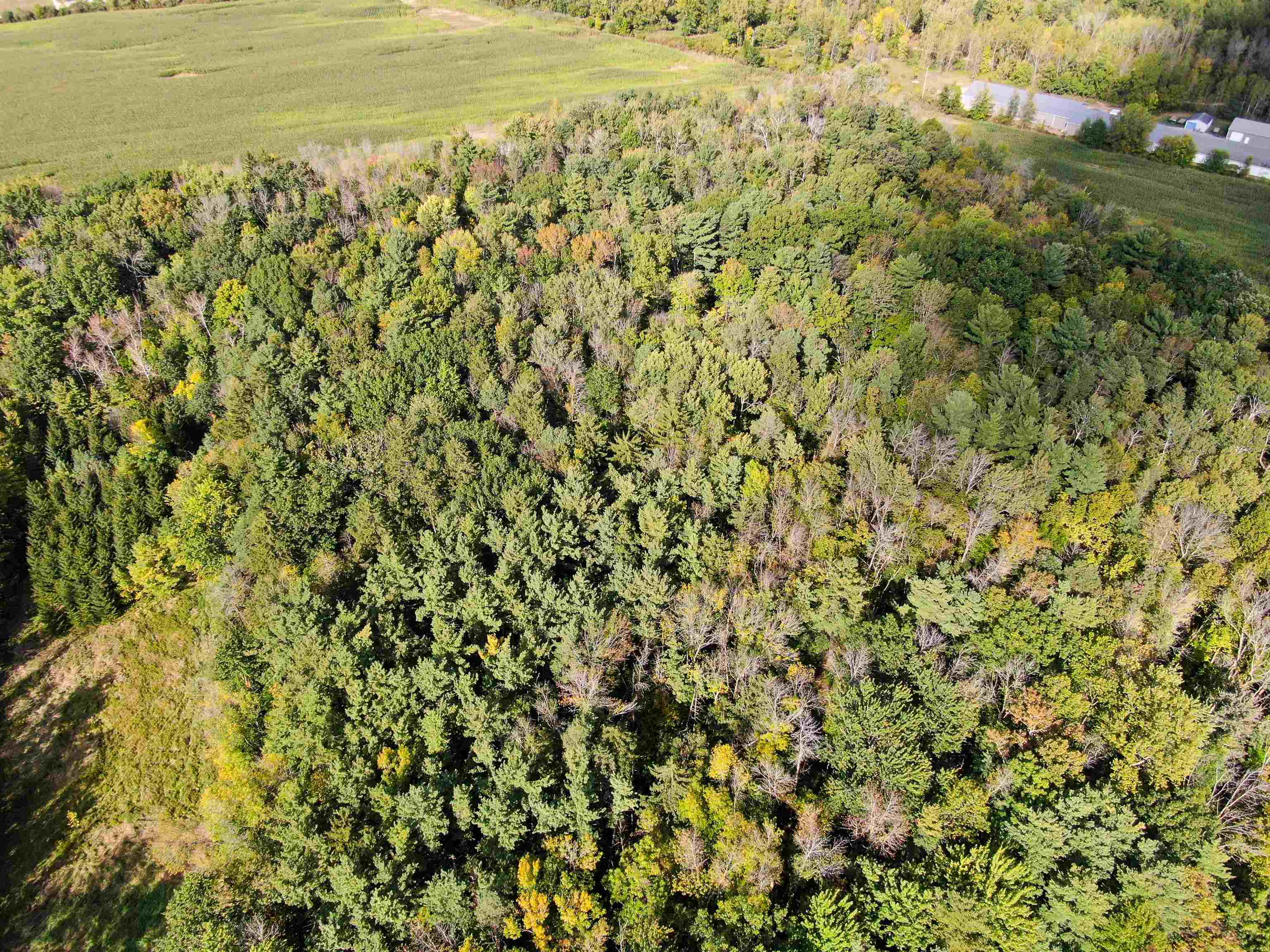 N2909 32 Pulaski Street Pulaski, WI 54162 - Photo 8 of 11